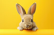 cute rabbit peeking over yellow wall, generative ai