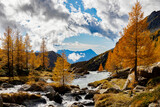 Fototapeta Tęcza - Locality Preda rossa in Val Masino, Valtellina, Italy, autumn view