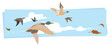 Flock flying ducks. Migratory birds. Illustration for internet and mobile website.