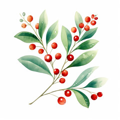 Wall Mural - SCANDI - Watercolour Collection { No4 } - Christmas Mistletoe Collection. Hand Painted Cute Naive Scandinavian Folk Art Xmas  Plant Flower Isolated on White Background. Generative AI