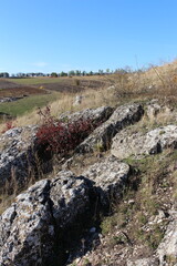 Wall Mural - A rocky hillside with trees and a blue sky