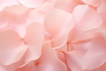 Soft Pink Petal Background. Generative AI