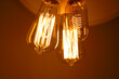 Three electrical filament lamps close-up macro