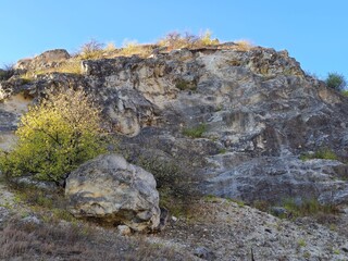 Wall Mural - A rocky mountain with a tree