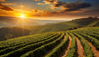 coffee plantation sunset generate ai