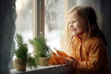 A Little Girl Looks Out The Window And Waits For Saint Nicholas. A Child Prepared Carrots For St. Nicholas's Donkey Or Horse