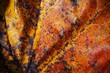 abstract detail of an autumn leaf of a tree