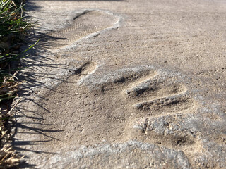 handprint and footprint in concrete preserving a child's dream of the future. 