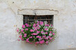 finestrella fiorita in una casa antica di Vigo di Fassa