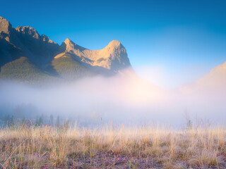 Wall Mural - fall landscape. foggy landscape in the morning. mountain peak. sunbeams in a valley. field in a moun