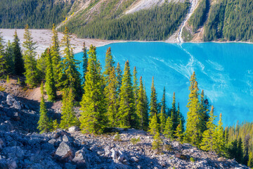 Wall Mural - lake peyto, banff national park, alberta, canada. landscape during daylight hours. a lake in a mount