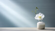 A white, textured wall, with a subtle pattern of lines and circles, and a single, white flower in a glass vase