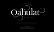 © fourmonths - Qahulat premium luxury elegant alphabet letters and numbers. Elegant wedding typography classic serif font decorative vintage retro. Creative vector illustration
