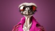 Close up portrait of a dressed ostrich. Pink jacket, sunglasses and background with copy space. Minimal concept