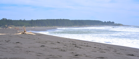 Wall Mural - Waves on blsck sand beach during windy day (Constitucion, Maule, Chile)