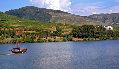 Vinicolas do Vale do Douro. Portugal.