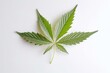 White isolated cannabis leaf, flat-lay, top view. Example or mockup. Generative AI