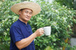 Asian man farmer wears hat, blue shirt, holds cup of coffee in garden. Concept, relax time with favorite beverage.Take a break with coffee, hot chocolate or tea before or after working in garden.