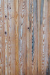 Blue Pine wood siding texture