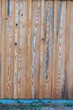 Siding wood blue pine board rough sawn  texture
