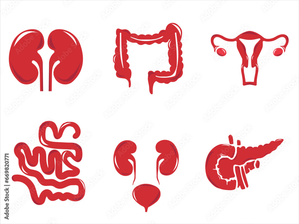 Labelled Internal Organs Human internal organs. Vector sketch isolated illustration. Hand drawn ...