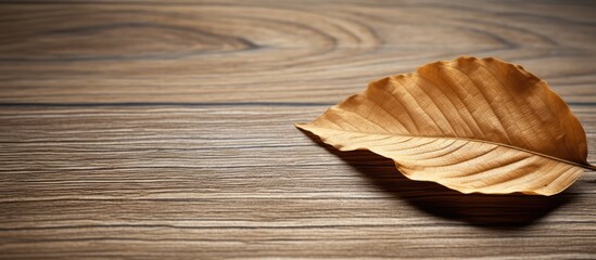 Leaf on floor