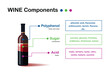 Infographic show components in wine (polyphenol, acid, sugar)