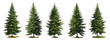Set of green fir trees isolated on the white background, Christmas pine tree, vector illustration