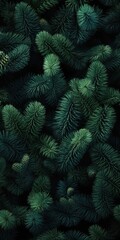 Canvas Print - A close-up view of a bunch of pine trees. This image can be used to showcase the beauty of nature or to create a peaceful and serene atmosphere in design projects.