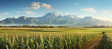 European Autumn Landscape Photography Ripe Corn Field With Rolling Mountains In The Background
