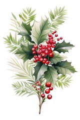 Poster - A branch of holly with vibrant red berries and lush green leaves. Perfect for holiday decorations or adding a festive touch to any project