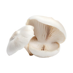 Wall Mural - White Shiitake eringi tasty mushroom isolated png