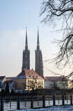 Fototapeta Tulipany - Katedra Ostrów Tumskim we Wrocławiu