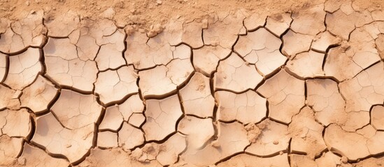 Wall Mural - Cracked and dried earth background symbolizing global warming and drought