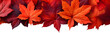 canvas print picture - Red rustic Autumn maple leaves border design PNG, seasonal nature decor element, AI generative