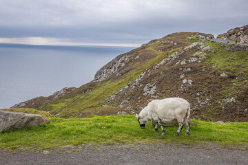 Teelin, Ireland - September 2 2023 