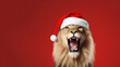 Lion with Santa hat on red background