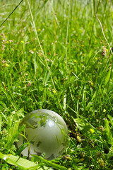 Wall Mural - Green glass globe in the grass