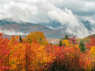 Wall Mural - Along the Kancamagus Highway, Autumn