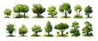 A collection of vector illustrations featuring bushes, trees, and grass set as clipart on a transparent background.