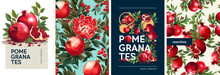Hand Drawn Set Of Designs And Patterns. Vectorized Gouache Illustrations. Illustrations Of Pomegranates With Flowers And Leaves For Poster, Prints, Menu, Card Or Textile.