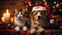 christmas eve. pets dog and cat seating under the christmas tree. fire place with decorations. a lot of gifts 