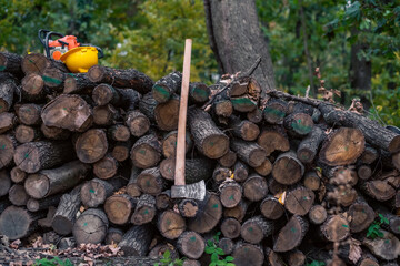 Wall Mural - Neatly arranged logs and tools in the background.