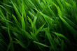 illustration of green grass background. Created with Generative AI