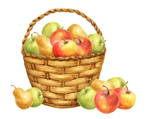 Wall Mural - Basket with apple and pear fruits. Thanksgiving or Harvest Day card design. Watercolor drawing.