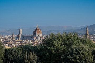 Wall Mural - Florence town cityscape in Italy