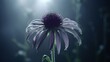 A luminous, otherworldly Echinacea blossom bathed in soft moonlight, surrounded by a halo of ethereal mist.