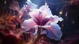 Fototapeta Storczyk - A mesmerizing Nebula Narcissus in