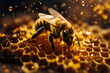 bee building honeycomb close up