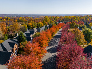 Wall Mural - Suburban town with autumn colors